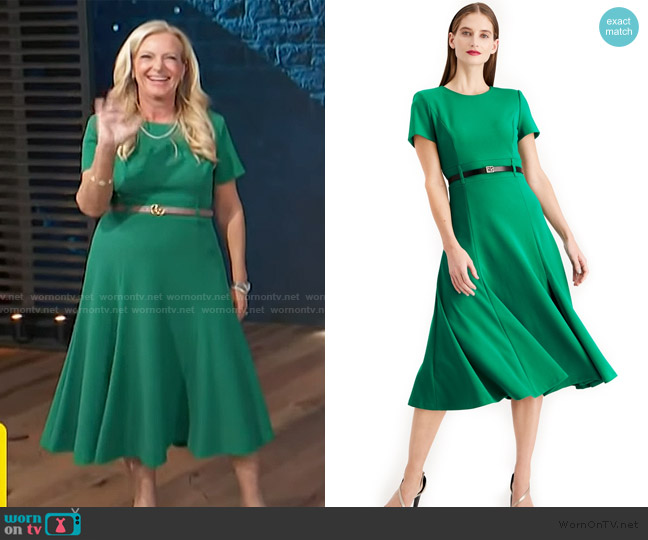 Calvin Klein Belted Fit & Flare Midi Dress worn by Alison Tressl on Access Hollywood