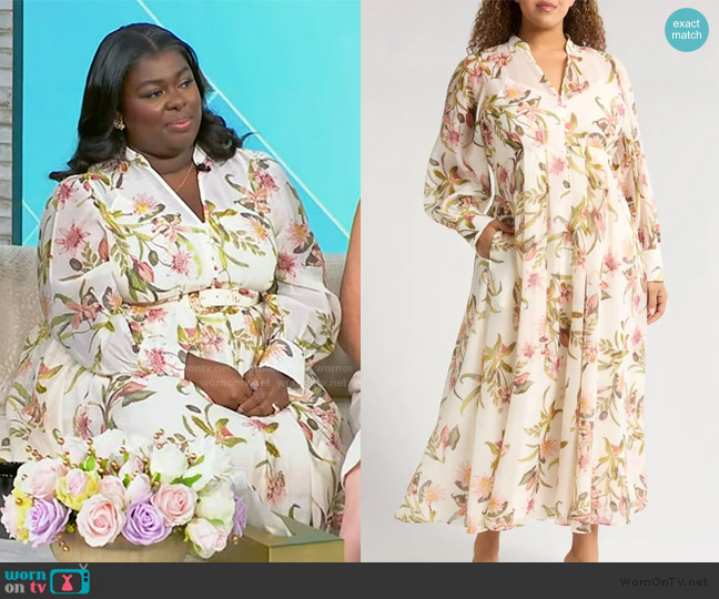 Chelsea28 Floral Long Sleeve Maxi Dress worn by Beverly on Tamron Hall Show