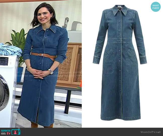 Chloe Long-Sleeved Denim Dress worn by Bahar Takhtehchian on Today