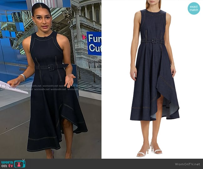 Cinq a Sept Zelda Denim Belted Midi-Dress in Indigo worn by Morgan Radford on NBC News Daily
