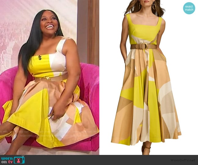Donna Karan New York Print Sleeveless Midi Dress worn by Sherri Shepherd on Sherri