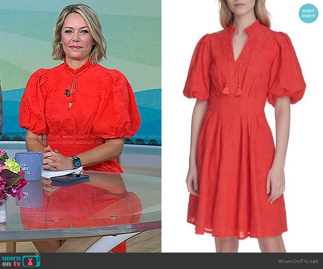 Eliza J Floral Embroidered Puff Sleeve Cotton Fit & Flare Dress worn by Dylan Dreyer on Today
