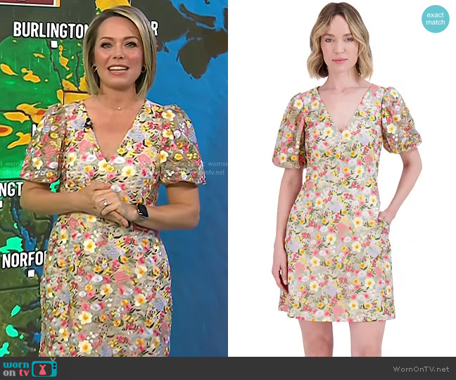 Eliza J V-Neck Puff-Sleeve Embroidered Dress worn by Dylan Dreyer on Today