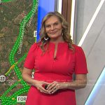 Emily’s pink zip front flare dress on Today