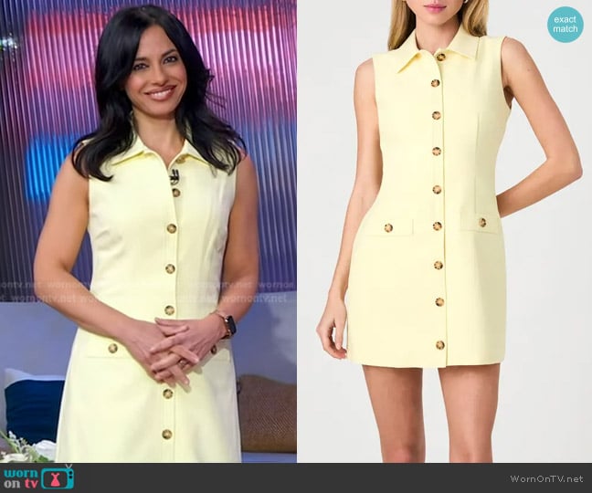 French Connection Azra Sleeveless Twill Mini Shirtdress in Cornsilk Yellow worn by Dr. Tara Narula on Good Morning America