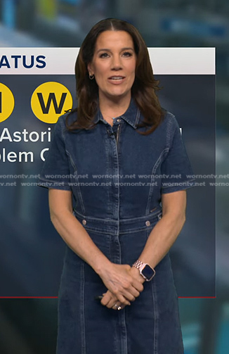 Heather’s zip front denim dress on Good Morning America