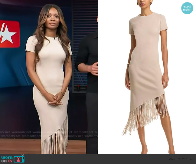 Line and Dot Chrysta Fringe Hem Dress worn by Zuri Hall on Access Hollywood