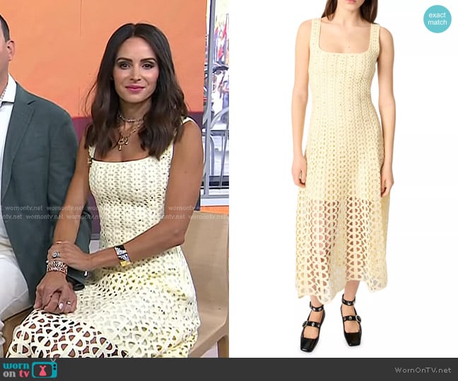 Maje Rhinestone Crochet Maxi Dress in Yellow worn by Samantha Busch on Today