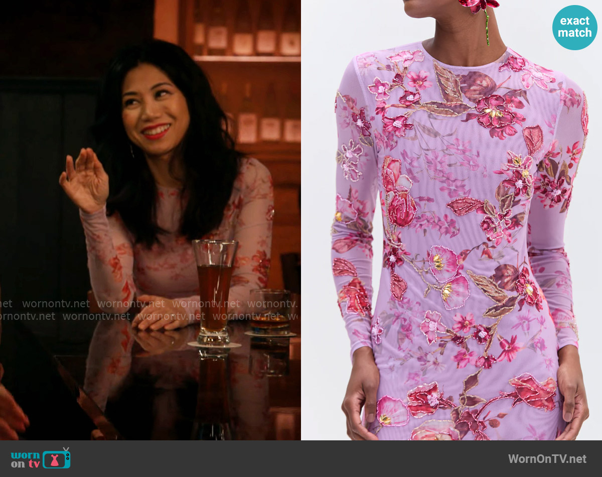 PatBo Floral Haze Embroidered Tulle Dress worn by Melody Bayani (Liza Lapira) on The Equalizer
