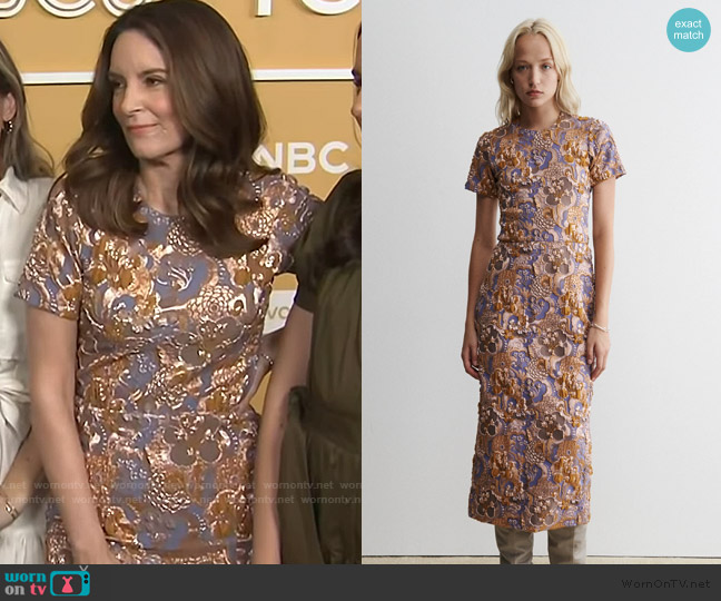 Rachel Comey Goleta Dress worn by Tina Fey on E! News