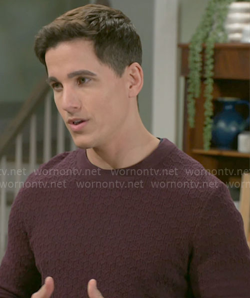 Smitty’s burgundy textured sweater on Beyond the Gates