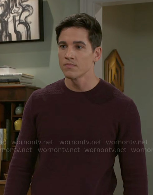 Smitty’s burgundy textured sweater on Beyond the Gates