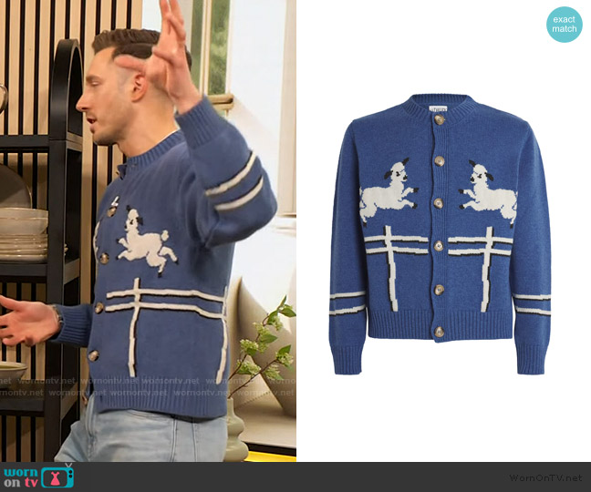 S.S. Daley Wool Cyril Cardigan worn by Will Taylor on The Drew Barrymore Show