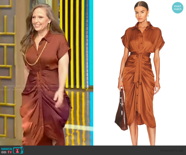 Steve Madden Tori Midi Dress worn by Katelyn Vargo on Tamron Hall Show