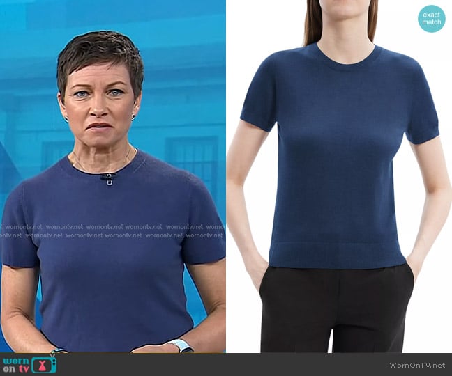 Theory Basic Merino Wool T-Shirt in Ash Blue worn by Stephanie Gosk on Today