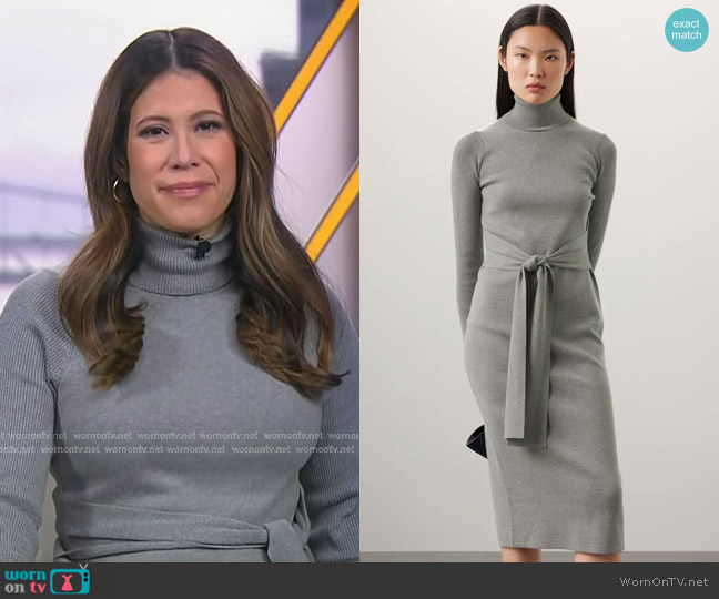 Toccin Knit Tie Front Dress worn by Deirdre Bosa on NBC News Daily