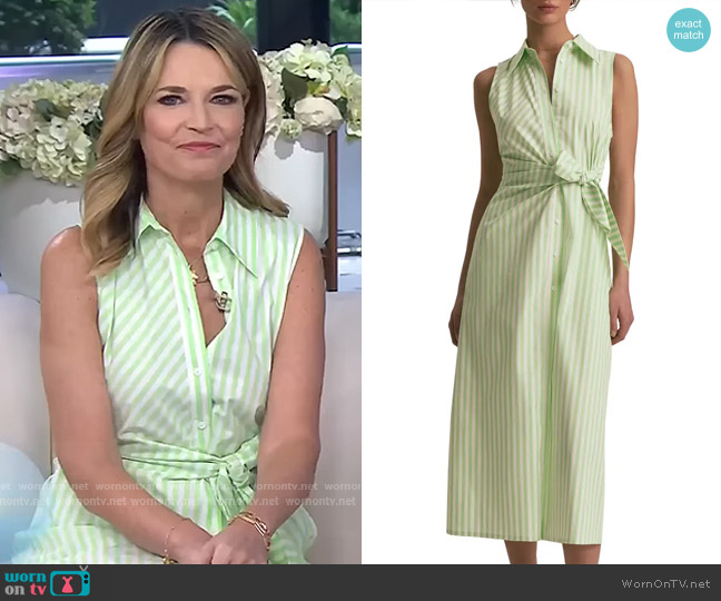 Favorite Daughter Good Behavior Dress in Kiwi/ Ivory Stripe worn by Savannah Guthrie on Today