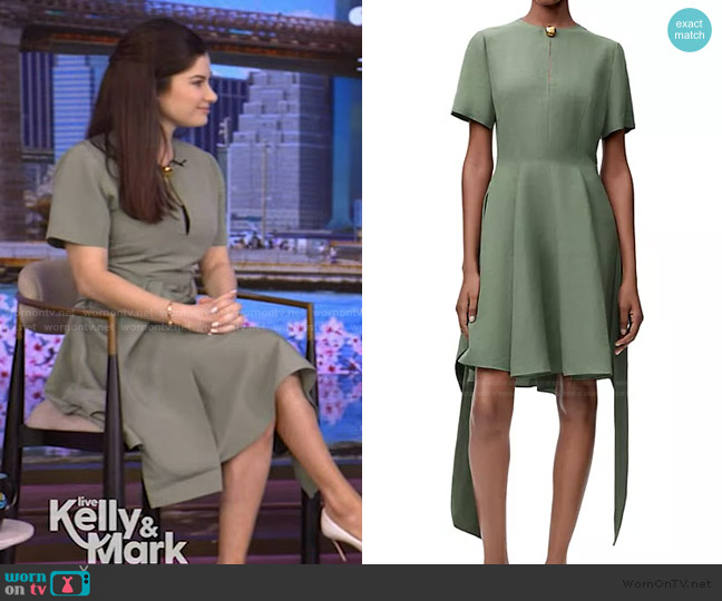 Loewe x Paula's Ibiza Pebble Pleated Dress worn by Dr Yalda Safa on Live with Kelly and Mark
