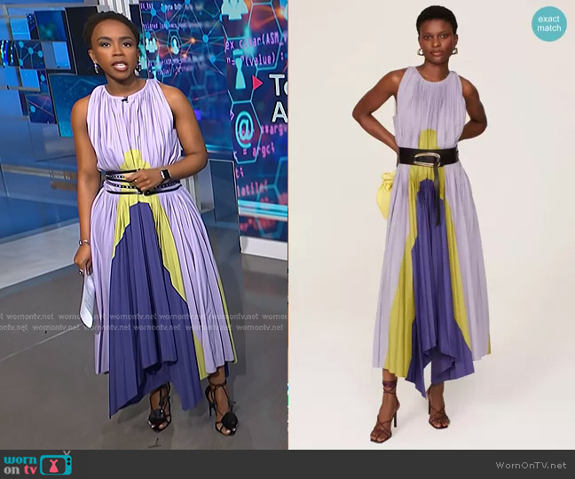 Bibhu Mohapatra Collective Pleated Panel Dress worn by Zinhle Essamuah on NBC News Daily