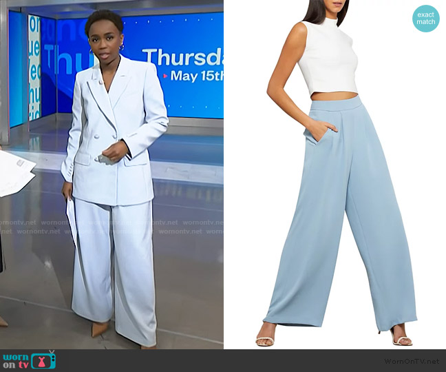 BCBGMAXAZRIA Pleat-Front Wide-Leg Pants worn by Zinhle Essamuah on NBC News Daily