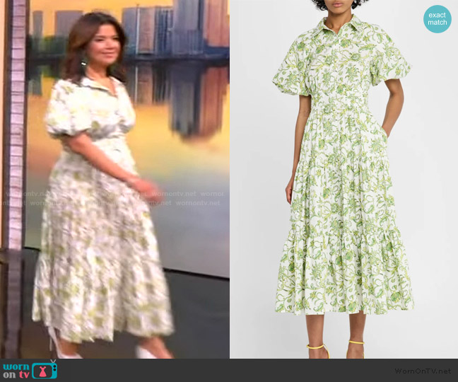 Cinq a Sept Ivy Paisley Maggio Dress worn by Ana Navarro on The View
