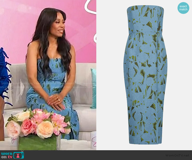 Emilia Wickstead Imara Dress in Cloud Blue and Khaki worn by Karen Pittman on Sherri