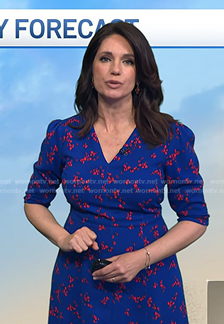 Maria’s blue floral v-neck dress on Today