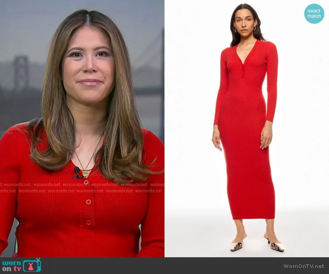 Roam Cordoba Long Button Front Knit Dress worn by Deirdre Bosa on NBC News Daily