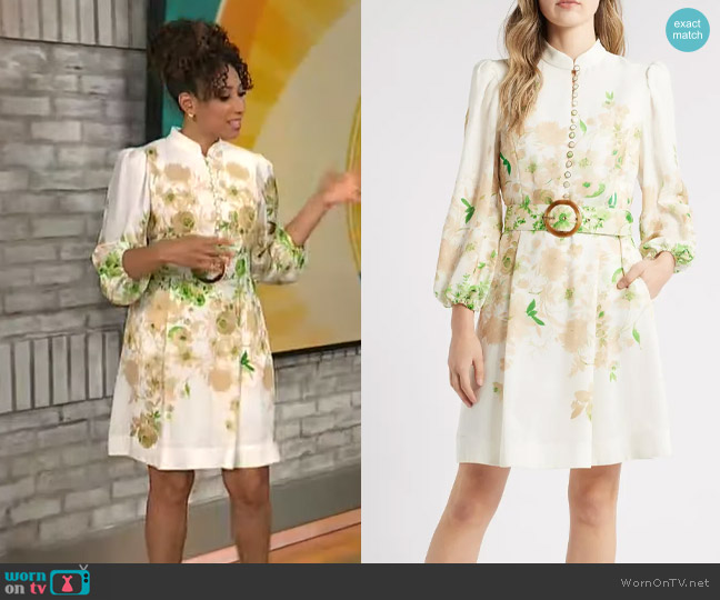 Tahari ASL Border Print Belted Long Sleeve Dress worn by Gabrielle Kerr on CBS Mornings
