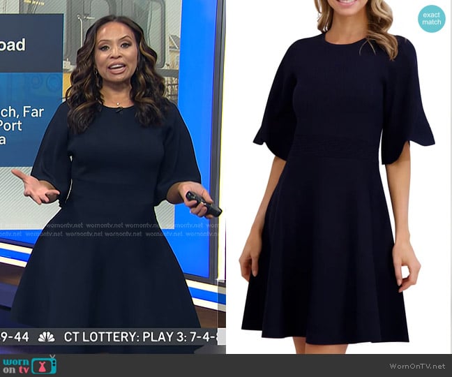 Ted Baker Olivia Rib Fit & Flare Dress in Classic Navy worn by Adelle Caballero on Today