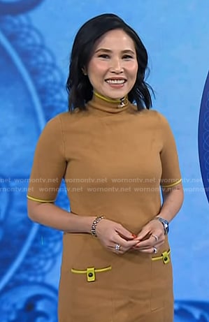 Vicky’s brown turtleneck dress on Today