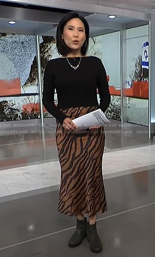 Vicky’s zebra stripe colorblock dress on NBC News Daily