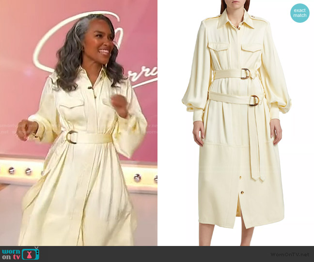 Zimmermann Balance Cargo Belted Midi-Dress worn by Mara Brock Akil on Sherri