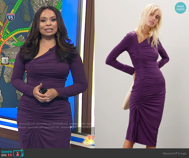 Rachel Parcell Asymmetric Shirred Long Sleeve Dress worn by Adelle Caballero on Today