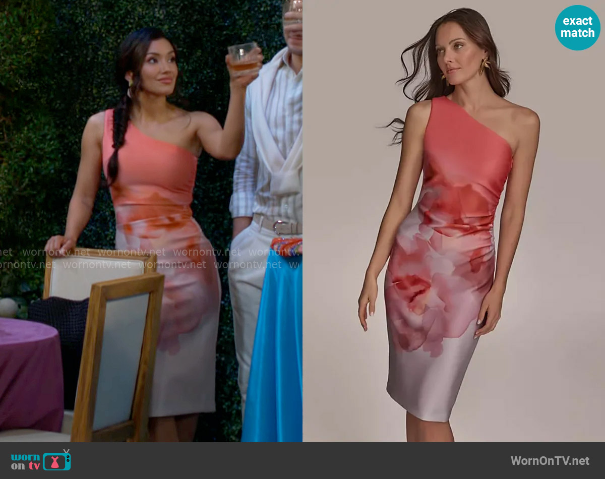 Donna Karan Printed One-Shoulder Dress worn by Audra Charles (Zuleyka Silver) on The Young and the Restless