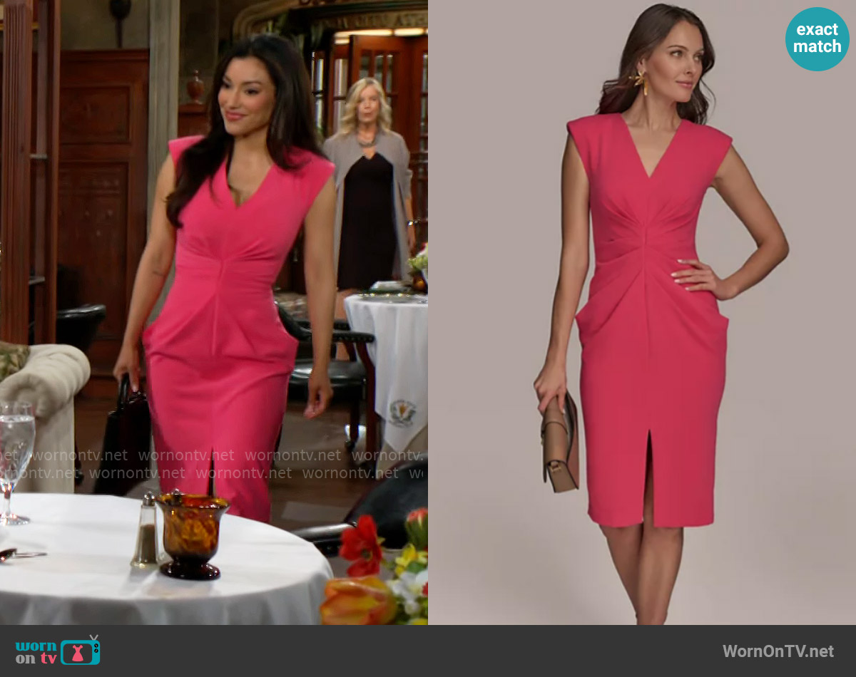 Donna Karan V-Neck Ruched Sheath Dress worn by Audra Charles (Zuleyka Silver) on The Young and the Restless