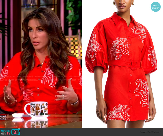 Cinq a Sept Sunburst Rhea Embroidered Dress worn by Alyssa Farah Griffin on The View
