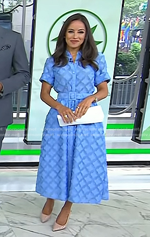 Kaylee’s blue diamond pattern dress on Today