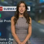 Lindsay Tuchman's grey plaid ruffle dress on Good Morning America