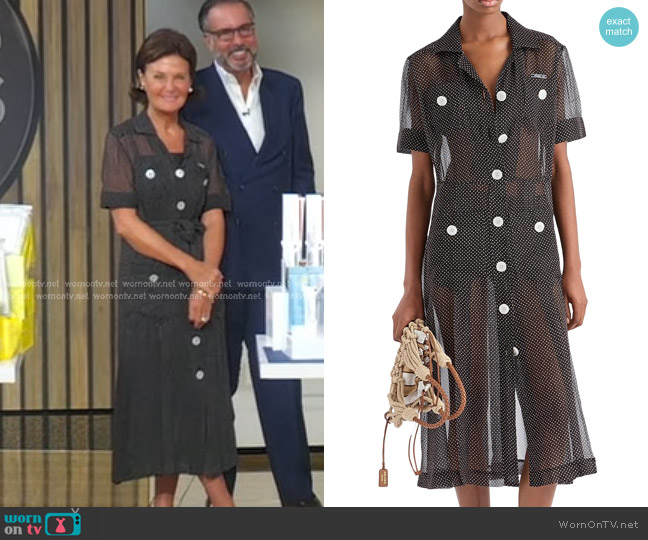 Prada Polka-Dot Silk Chiffon Shirt Dress worn by Laura Slatkin on Good Morning America