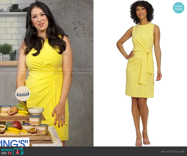 leeveless Cloud Crepe Sheath with Waist Tie Detail in Snapdragon Maggy London worn by Stefani Sassos on Good Morning America