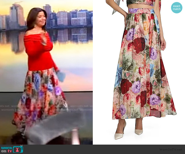 Alice + Olivia Nilda Floral A-Line Maxi Skirt worn by Ana Navarro on The View