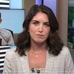 Liz’s grey plaid top and blazer on Today