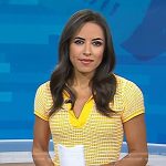 Kaylee’s yellow knit polo dress on Today
