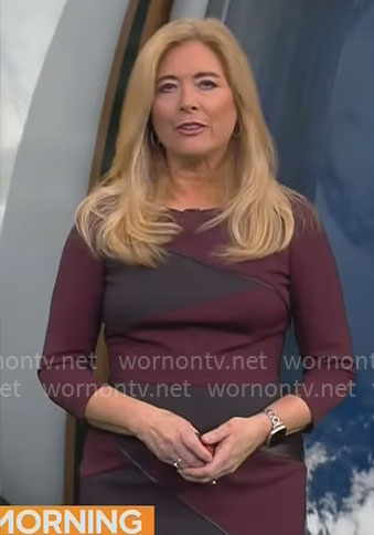 Kelly Cass’ purple colorblock dress on CBS Mornings