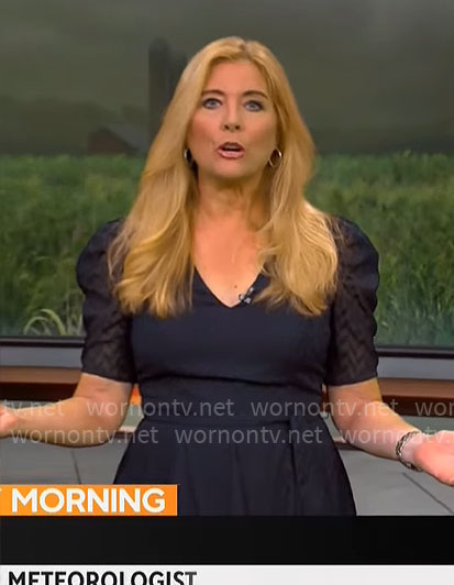 Kelly Cass’s navy sheer sleeve dress on CBS Mornings