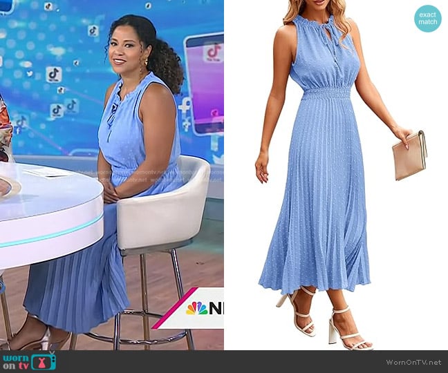 PrettyGarden Swiss Dot Ruffle Sleeveless Dress in Light Blue worn by Arianna Davis on Today