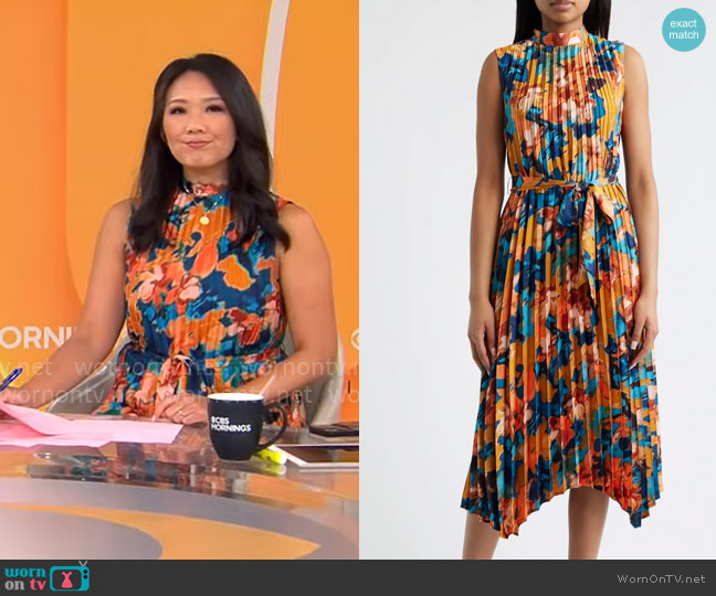Tahari ASL Abstract Print Pleated Belted Dress in Rust / Teal worn by Nancy Chen on CBS Mornings