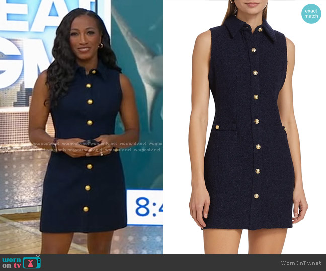 Toccin Sophia Sleeveless Mini Shirtdress worn by Brittany Bell on Good Morning America