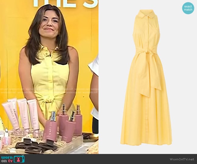 Toccin Sleeveless Tie Waist Shirt Dress worn by Adrianna Barrionuevo Brach on Today